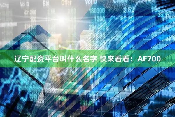 辽宁配资平台叫什么名字 快来看看：AF700