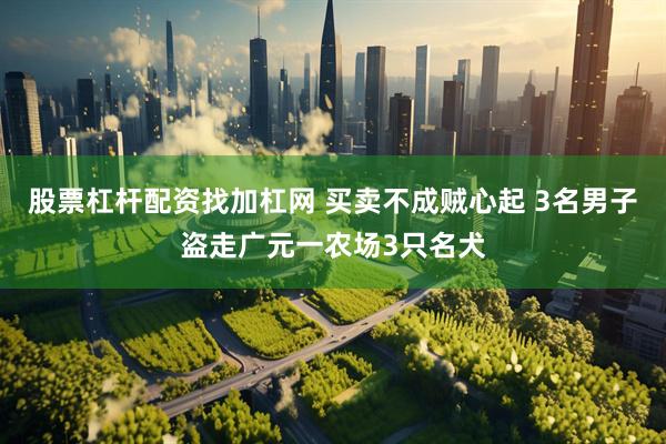 股票杠杆配资找加杠网 买卖不成贼心起 3名男子盗走广元一农场3只名犬