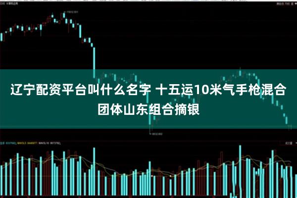 辽宁配资平台叫什么名字 十五运10米气手枪混合团体山东组合摘银