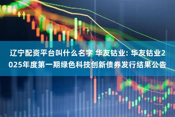辽宁配资平台叫什么名字 华友钴业: 华友钴业2025年度第一期绿色科技创新债券发行结果公告