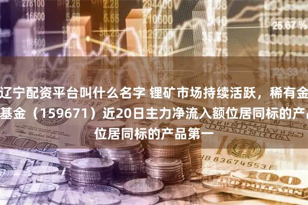 辽宁配资平台叫什么名字 锂矿市场持续活跃，稀有金属ETF基金（159671）近20日主力净流入额位居同标的产品第一