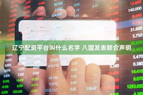 辽宁配资平台叫什么名字 八国发表联合声明